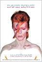 ジグソーパズル BOWIE ALADDIN SANE(BOWIE) 120ピース APP-120-016 パズル Puzzle ギフト 誕生日 プレゼント