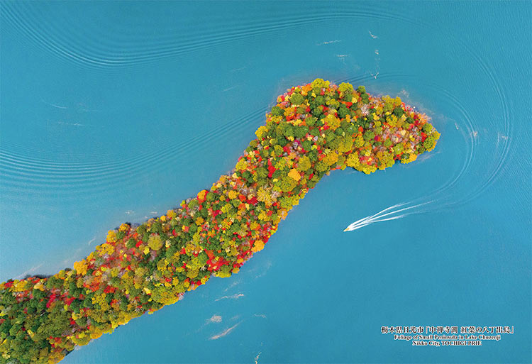 ジグソーパズル 栃木県日光市「中禅寺湖 紅葉の八丁出島」 300ピース CUT-300-413 パズル Puzzle ギフ..