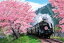 ジグソーパズル 桜と大井川鐵道ー静岡 300ピース EPO-28-046s パズル Puzzle ギフト 誕生日 プレゼント 誕生日プレゼント 1,400円