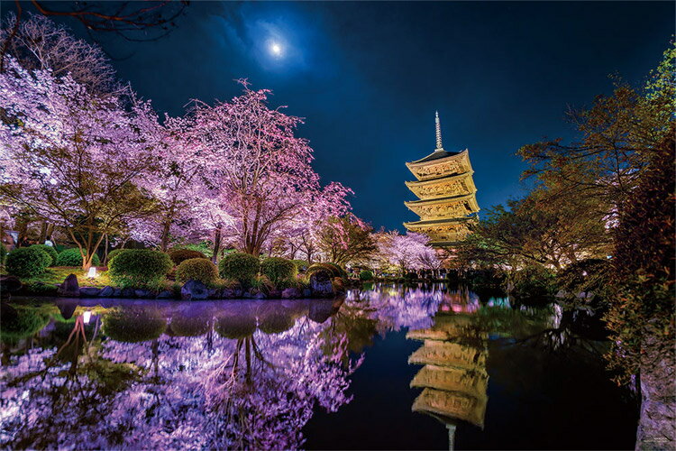 楽天市場】1000ピース 朧咲夜 SHU 1000－651の通販