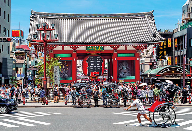 ���������ѥ��� ���� 1000�ԡ��� BEV-1000M-032 ��CP-JS�� �ѥ��� Puzzle ���ե� ������ �ץ쥼��� �������ץ쥼���