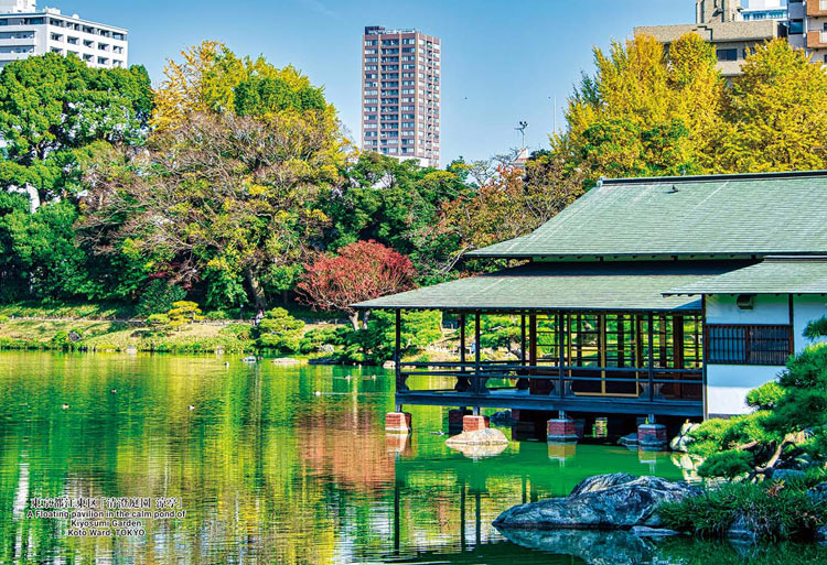 Rakuten - ジグソーパズル 東京都江東区「清澄庭園 涼亭」 300ピース CUT-300-471 パズル Puzzle ギフト 誕生日 プレゼント