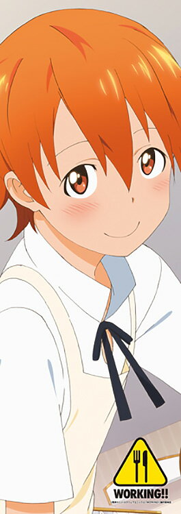 伊波まひる　照れ　ぬいぐるみ　【WORKING!!】 Amazon.co.jp: WORKING!! ねんどろいど 伊波まひる (ノン