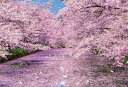 ジグソーパズル 弘前公園の桜 1000ピース 国内風景 BEV-51-251 ［CP-JP］ パズル Puzzle ギフト 誕生日 プレゼント