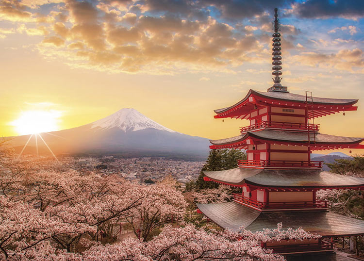 ジグソーパズル YAM-05-1023　風景　春暁の富士山と桜 （山梨） 500ピース パズル Puzzle ギフト 誕生日 プレゼント