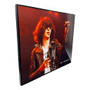 【送料無料】 ラモーンズ Ramones ジョーイ ラモーン Joey Ramone アートパネル 壁掛け 据え置き 壁掛けフック付き アーティスト POPパネル インテリア アートフレーム ポスター cool クール …