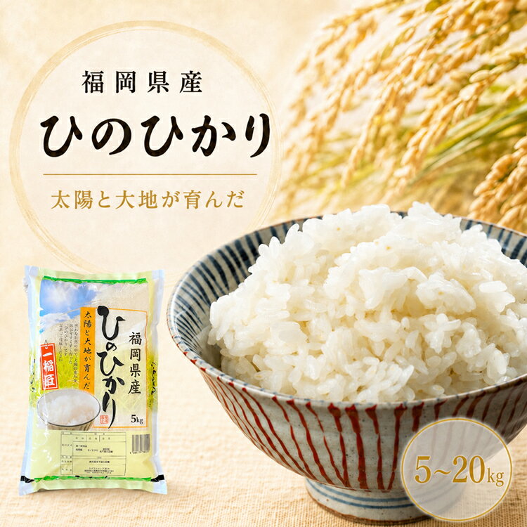 ＼エントリーでP5倍／【福岡県産米】白米 精米 ひのひかり 福岡県産ヒノヒカリ 5kg 10kg 2 ...