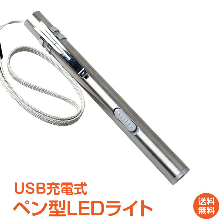 ＼5/15迄11%OFFクーポン／【1年保証】おすすめ アウトドアペン型 LED ライト コンパクト ステンレス 明るい USB 充電 懐中電灯 作業灯 警告灯 クリップ ストラップ ad231 ギフト 防災 避難用 新生活 生活用品 家電 おうちキャンプ ベランピング