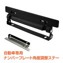 ＼4/1限定15 OFFクーポン／【1年保証】ナンバープレート ステー 車用 自動車 軽自動車 角度調整 カスタム ブラック シルバー ee238