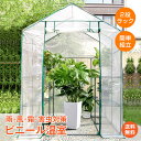 *GW限定15%OFFクーポン*【1年保証】ビニール温室 2段 ラック ワイド 簡単 組立 ファスナー 窓付き 家庭菜園 野菜 植物 花 鉢 観葉植物 多肉植物...