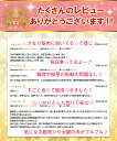 alice-zk:10003234のサンプル画像3