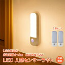 ＼5/1限定15%OFFクーポン／【1年保証】人感センサーライト 2個 センサーライト マグネット 磁石 USB充電 LED 明暗センサー 調光3段階 電球色 昼白色 昼光色 シンプル フットライト 足元灯 夜 小型 室内 玄関 廊下 節電 停電 災害対策 sl099