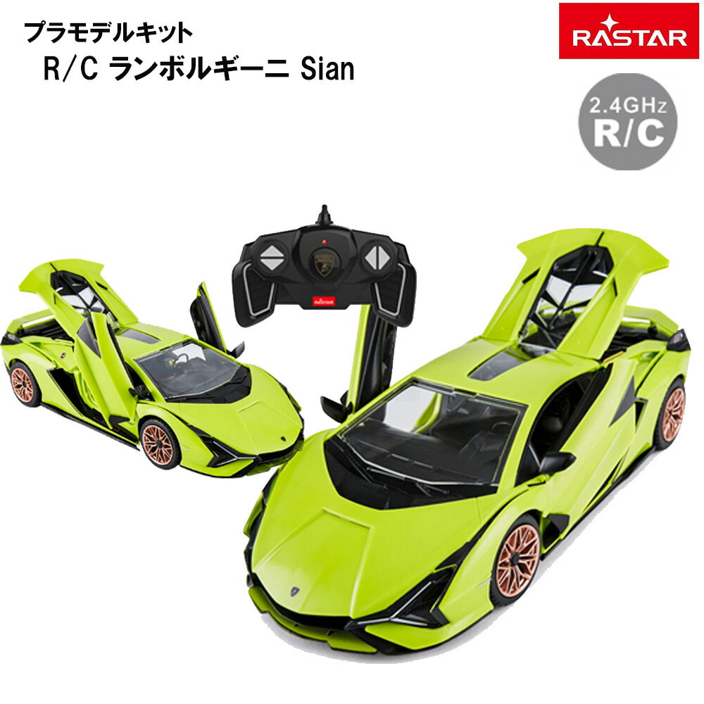Ƹͧ(Doyusha) 饹 1/18 ܥ륮 Sian ưR/C 饸 Ωå ץǥ륭å
