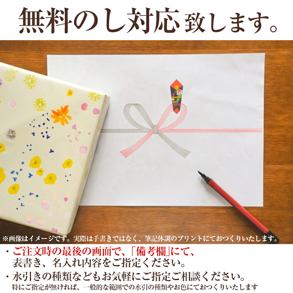 無料ラッピング 送料無料 とらや 羊羹 10本入り 虎屋 お中元 ギフト プレゼント ようかん 御中元 お菓子 お土産 手土産 おじいちゃん おばあちゃん 祖母 祖父 母 父 小型羊羹 虎や 高齢 75 Off