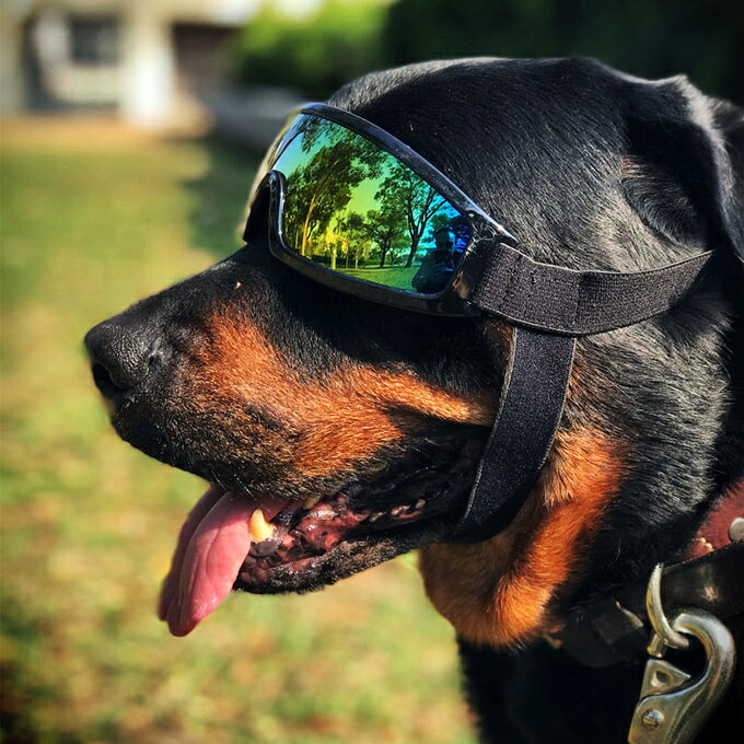 ゴーグル サングラス 犬用 ペット用ゴーグル 犬用サングラス ドッグゴーグル ペッ...