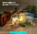 LEDガラスジャーDIYSET ライト 植栽ボトル 工作キット【アリスの時間】★