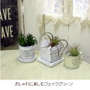 ■ミニエアーグラスピック 【アリスの時間】★