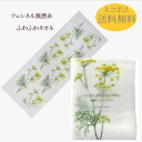 【自分へのご褒美に】フェンネル フェイスタオル ふわふわ無撚糸タオル(送料無料)FN-852【ヘアバンド タオル 洗顔 】 【アリスの時間】★