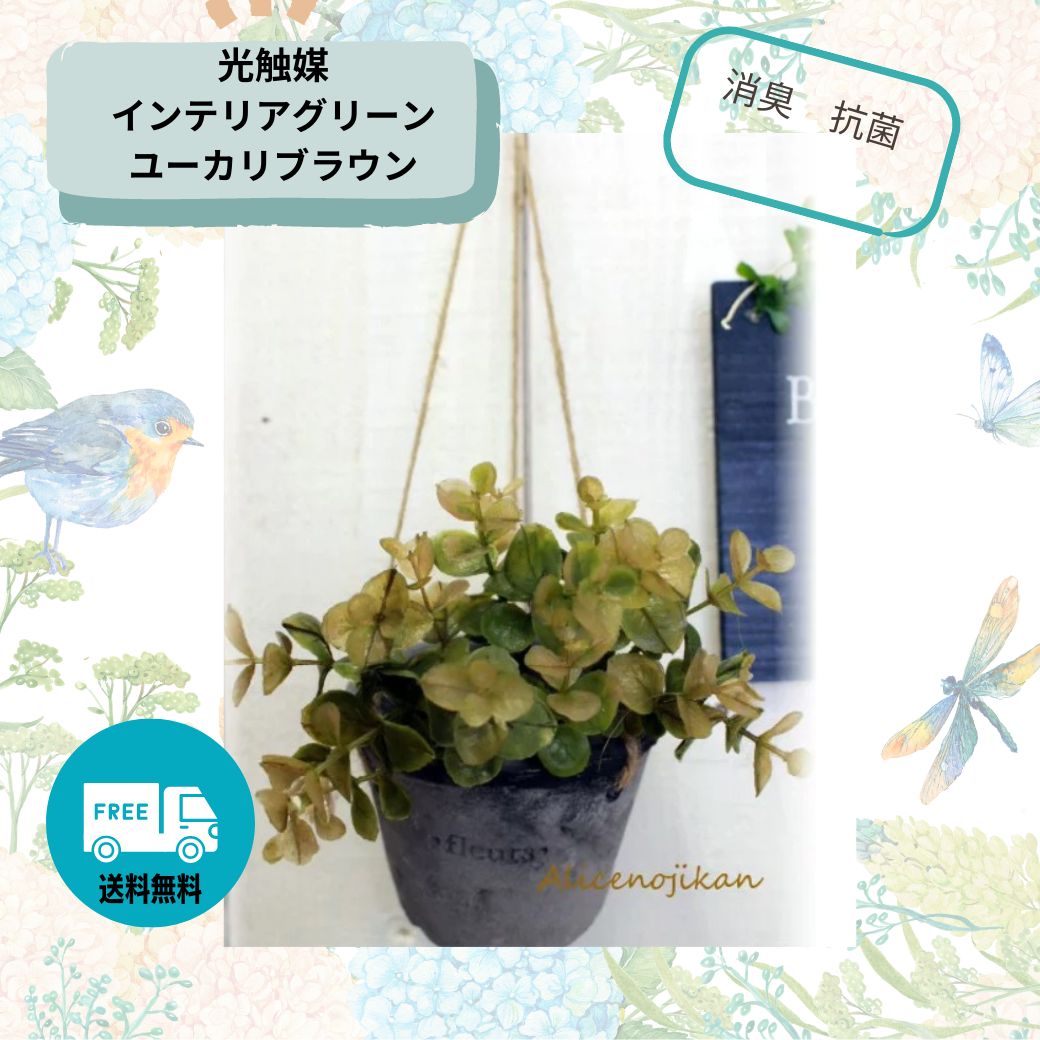 【光触媒　抗菌消臭効果】ユーカリバンドル　ブラウン【アリスの時間】★