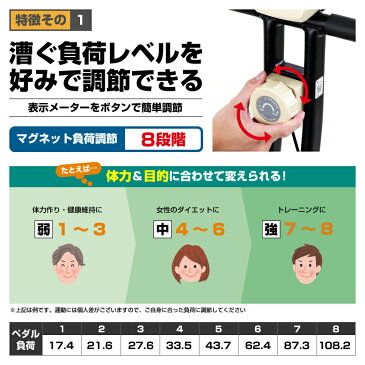 フィットネスバイク アルインコ直営店 ALINCO基本送料無料AFB4419CX コンフォートバイク4419Cバイク フィットネスバイク エクササイズバイク健康器具 ダイエット トレーニング マグネットバイク
