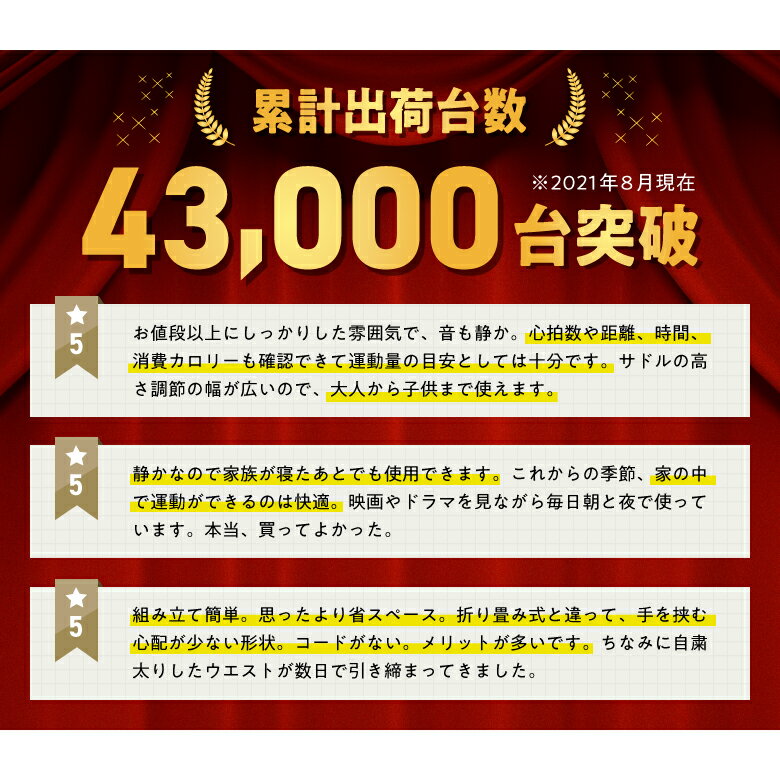 期間限定セール/2日20時〜12日8時まで直販限定品新品・未開封品フィットネスバイク アルインコ直営店 ALINCOAFB5013 エアロマグネティックバイク5013バイク