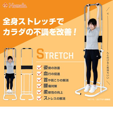 【基本送料無料】アルインコ直営店 ALINCONZ110 ぶら下がり健康器ぶらさがり ストレッチ 筋肉 柔軟健康器具 家庭用 トレーニングダイエット リハビリ 猫背 腰痛 肩こり 肩甲骨 背筋 腹筋敬老の日