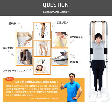 【基本送料無料】アルインコ直営店 ALINCONZ110 ぶら下がり健康器ぶらさがり ストレッチ 筋肉 柔軟健康器具 家庭用 トレーニングダイエット リハビリ 猫背 腰痛 肩こり 肩甲骨 背筋 腹筋敬老の日