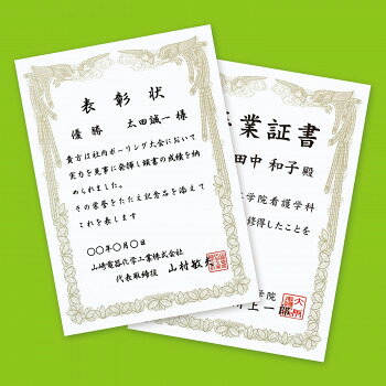■北海道・沖縄・離島へのお届けは別途送料を請求させていただきます。 ■製品の仕様・画像・パッケージは、変更される場合があります。 ■当店では在庫をメーカーと共有しており、商品によっては欠品の場合がございます。 　万一、ご注文頂きました商品が欠品の場合はご連絡させていただきます。 ■ご注文確定後のキャンセル不可です。 ■ラッピング（包装）対応不可です。必要なときに必要な数だけ作成できます。表面には、あらかじめ豪華な賞状の枠が金色で印刷してあるので、文章を追加して印刷するだけでオリジナル賞状ができあがります。印刷屋さんに依頼するよりも短時間で必要な枚数だけ印刷でき、コストパフォーマンスにも優れています。サイズA4(210×297mm)個装サイズ：30.6×22.1×1.0cm重量個装重量：160g仕様入数:10枚坪量:186.1g/平方メートル紙厚:0.209mm白色度:99.3%生産国日本 広告文責（ホライズン・03-5843-9512)fk094igrjs