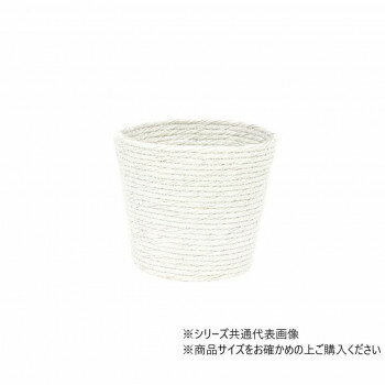 大橋新治商店 ロレーヌ D5 白 24-435