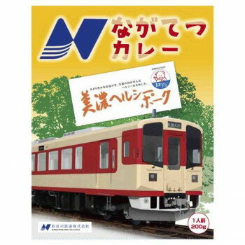 ご当地カレー ながてつカレー 10食セット