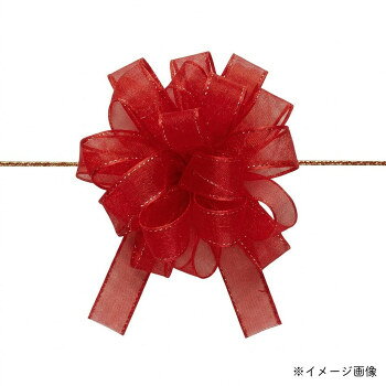 ■北海道・沖縄・離島へのお届けは別途送料を請求させていただきます。 ■製品の仕様・画像・パッケージは、変更される場合があります。 ■当店では在庫をメーカーと共有しており、商品によっては欠品の場合がございます。 　万一、ご注文頂きました商品が欠品の場合はご連絡させていただきます。 ■ご注文確定後のキャンセル不可です。 ■ラッピング（包装）対応不可です。光沢のあるオーガンジーとサイドの金線が可愛いワンタッチリボンです。中心のヒモを引くと、ワンタッチでボウができあがります。メタリックラインはゴールドです。※製造の都合上、リボン中央にラインが入る場合がございますので、ご了承下さい。サイズ12mm×20m個装サイズ：12×12×2cm重量個装重量：35g素材・材質ナイロン・ポリエステル生産国日本 広告文責（ホライズン・03-5843-9512)fk094igrjs