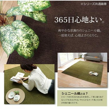 Mats - シェニール織カーペット 『モデルノ』 グリーン 約200×250cm 4599339