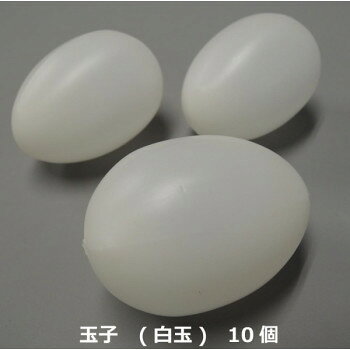 食品サンプル　玉子　(白玉)　10個　IP-501