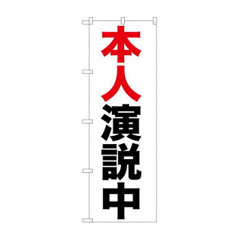 Promotion - のぼり GNB-925 本人演説中
