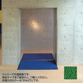 Mats - インドアマット　ブライトマットII　大　60×90cm　きみどり