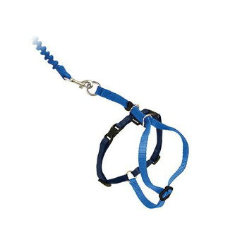 PetSafe Japan ペットセーフ イージーウォーク ネコ用ハーネス＆バンジーリード L ブルー CWMK-L-RYL