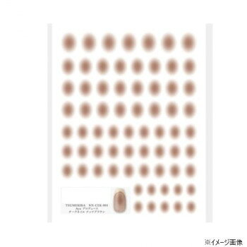 ■北海道・沖縄・離島へのお届けは別途送料を請求させていただきます。 ■製品の仕様・画像・パッケージは、変更される場合があります。 ■当店では在庫をメーカーと共有しており、商品によっては欠品の場合がございます。 　万一、ご注文頂きました商品が欠品の場合はご連絡させていただきます。 ■ご注文確定後のキャンセル不可です。 ■ラッピング（包装）対応不可です。ほわっと色づくチークネイルが貼るだけで手軽に楽しめます。チークネイルはもちろん、グラデーションデザインやニュアンスアートなど幅広く使っていただけます。ふんわり色付くブラウンで綺麗めからカジュアルまで幅広く。しなやかフィットシート使用。サイズシートサイズ:88×120mm個装サイズ：9×15×1cm重量個装重量：6g素材・材質PE生産国日本 広告文責（ホライズン・03-5843-9512)fk094igrjs