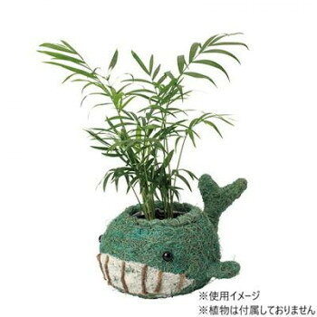■北海道・沖縄・離島へのお届けは別途送料を請求させていただきます。 ■製品の仕様・画像・パッケージは、変更される場合があります。 ■当店では在庫をメーカーと共有しており、商品によっては欠品の場合がございます。 　万一、ご注文頂きました商品が欠品の場合はご連絡させていただきます。 ■ご注文確定後のキャンセル不可です。 ■ラッピング（包装）対応不可です。可愛いアニマルポットです。※水を直接かけると変色・色落ちするため、ご注意ください。サイズ230×160×H140mm、内寸:φ90×H95mm(平均)個装サイズ：23.0×16.0×14.0cm重量0.21kg個装重量：300g素材・材質天然素材・プラスチック・ワイヤー仕様底穴なし号数:3内側ビニール付生産国中国 広告文責（ホライズン・03-5843-9512)fk094igrjs