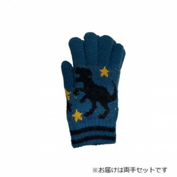 子供用手袋 恐竜 ティラノザウルス フリー ネイビー(5) 004550624