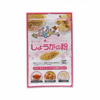 Confectionery Fruits - 玉三　しょうがの粉30g×60個　3725