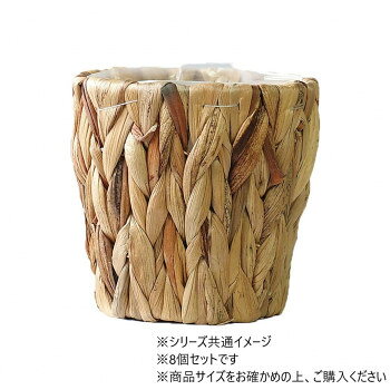 ■北海道・沖縄・離島へのお届けは別途送料を請求させていただきます。 ■製品の仕様・画像・パッケージは、変更される場合があります。 ■当店では在庫をメーカーと共有しており、商品によっては欠品の場合がございます。 　万一、ご注文頂きました商品が欠品の場合はご連絡させていただきます。 ■ご注文確定後のキャンセル不可です。 ■ラッピング（包装）対応不可です。PPアミアミポットのフラワーバスケットです。サイズΦ10×H10cm個装サイズ：15×15×10cm重量個装重量：1000g生産国中国 広告文責（ホライズン・03-5843-9512)fk094igrjs