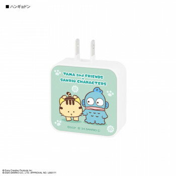 タマ＆フレンズ×サンリオ USB/USB Type-C ACアダプタ HG.ハンギョドン SANTA-02HG