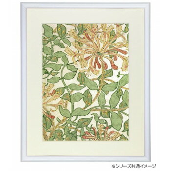 デッサン額　木製フレーム　桜カマボコ　ホワイト　版画486×334　アクリル 3