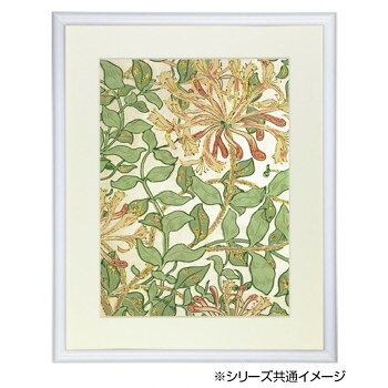 デッサン額 木製フレーム 横長 桜カマボコ ホワイト 横長大 790×390 アクリル [3]