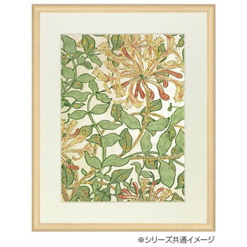デッサン額 木製フレーム 桜カマボコ 木地 B5 258×183 アクリル [3]