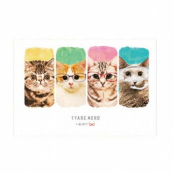 とことこサーカス メモパッド 猫/ネコ 「SYARENEKO×GLASS」 3冊セット ST-MP-006
