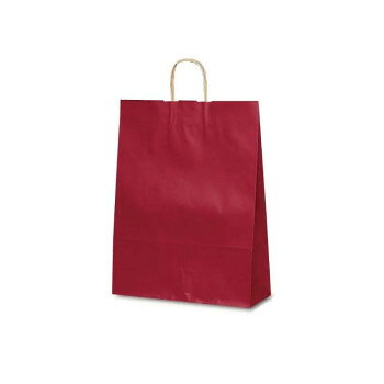 ■北海道・沖縄・離島へのお届けは別途送料を請求させていただきます。 ■製品の仕様・画像・パッケージは、変更される場合があります。 ■当店では在庫をメーカーと共有しており、商品によっては欠品の場合がございます。 　万一、ご注文頂きました商品が欠品の場合はご連絡させていただきます。 ■ご注文確定後のキャンセル不可です。 ■ラッピング（包装）対応不可です。自動紐手提袋。業務向けの手提袋です。冬物アウター等に向きます。サイズ巾380×マチ145×丈500mm個装サイズ：65×41×11cm重量個装重量：4500g素材・材質未晒セット内容50枚生産国日本 広告文責（ホライズン・03-5843-9512)fk094igrjs