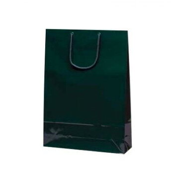 ■北海道・沖縄・離島へのお届けは別途送料を請求させていただきます。 ■製品の仕様・画像・パッケージは、変更される場合があります。 ■当店では在庫をメーカーと共有しており、商品によっては欠品の場合がございます。 　万一、ご注文頂きました商品が欠品の場合はご連絡させていただきます。 ■ご注文確定後のキャンセル不可です。 ■ラッピング（包装）対応不可です。卒入学などの式典や、アパレル、雑貨業界向けで活躍する高級感ある手提袋です。紐穴補強(ハトメ)もあり丈夫です。表面グロス(光沢)PP貼。サイズ巾330×マチ100×丈450mm個装サイズ：47.5×34.2×4cm重量個装重量：1160g素材・材質コートセット内容10枚生産国中国 広告文責（ホライズン・03-5843-9512)fk094igrjs