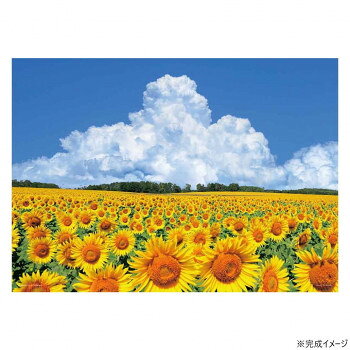 ジグソーパズル 風景 向日葵の丘と入道雲(北海道) 500ピース 05-1102