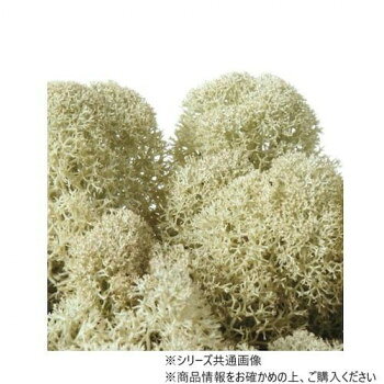 ■北海道・沖縄・離島へのお届けは別途送料を請求させていただきます。 ■製品の仕様・画像・パッケージは、変更される場合があります。 ■当店では在庫をメーカーと共有しており、商品によっては欠品の場合がございます。 　万一、ご注文頂きました商品が欠品の場合はご連絡させていただきます。 ■ご注文確定後のキャンセル不可です。 ■ラッピング（包装）対応不可です。ノルディックモスです。※色によって色むらが目立つ場合がございます。※松葉などの自然素材が混ざることがございます。サイズ個装サイズ：15×13×3cm重量50g個装重量：55g生産国フィンランド 広告文責（ホライズン・03-5843-9512)fk094igrjs